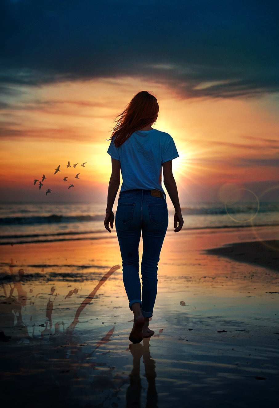 The Cassidy Carmichael Files